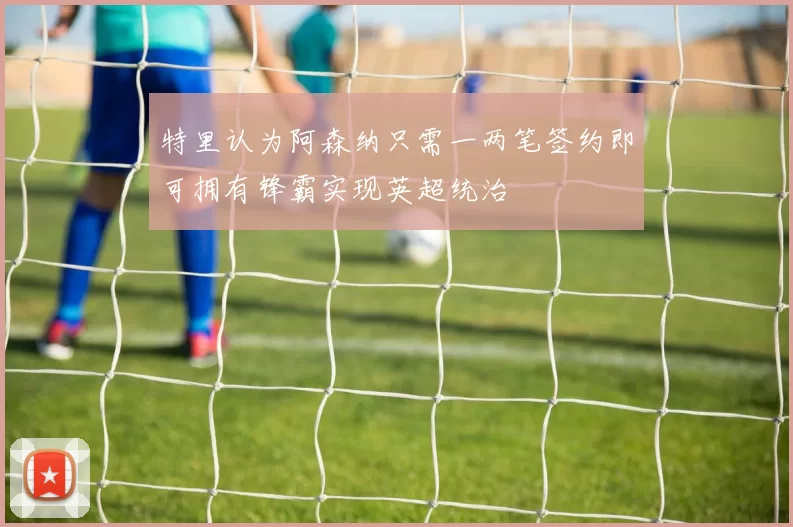 特里认为阿森纳只需一两笔签约即可拥有锋霸实现英超统治